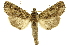  ( - INBIOCRI000954343)  @14 [ ] Copyright (2012) J. Montero INBio