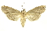  ( - INBIOCRI000954789)  @13 [ ] Copyright (2012) Juan Mata Lorenzen INBio
