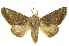  ( - INBIOCRI000956951)  @11 [ ] Copyright (2012) Juan Mata Lorenzen INBio