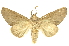  ( - INBIOCRI000956951)  @11 [ ] Copyright (2012) Juan Mata Lorenzen INBio