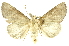  ( - INBIOCRI000970032)  @15 [ ] Copyright (2012) Juan Mata Lorenzen INBio