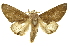  ( - INBIOCRI000975779)  @14 [ ] Copyright (2012) Juan Mata Lorenzen INBio