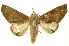  ( - INBIOCRI000981798)  @14 [ ] Copyright (2012) Juan Mata Lorenzen INBio