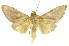  ( - INBIOCRI000981809)  @13 [ ] Copyright (2012) J. Montero INBio