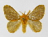  ( - INBIOCRI001055607)  @14 [ ] Copyright (2012) J. Montero Instituto Nacional de Biodiversidad