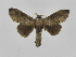  ( - INBIOCRI001074755)  @12 [ ] Copyright (2012) J. Montero Instituto Nacional de Biodiversidad
