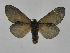 ( - INBIOCRI001074766)  @11 [ ] Copyright (2012) J. Montero Instituto Nacional de Biodiversidad