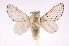  ( - INBIOCRI001075030)  @14 [ ] Copyright (2012) J. Montero Instituto Nacional de Biodiversidad