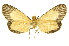 ( - INBIOCRI001112215)  @11 [ ] Copyright (2012) Juan Mata Lorenzen INBio