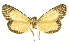  ( - INBIOCRI001112215)  @11 [ ] Copyright (2012) Juan Mata Lorenzen INBio