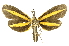  ( - INBIOCRI001130779)  @13 [ ] Copyright (2012) Juan Mata Lorenzen INBio