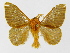  ( - INBIOCRI001132067)  @14 [ ] Copyright (2012) J. Montero Instituto Nacional de Biodiversidad
