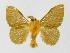  ( - INBIOCRI001132067)  @14 [ ] Copyright (2012) J. Montero Instituto Nacional de Biodiversidad