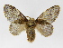  ( - INBIOCRI001132711)  @14 [ ] Copyright (2012) J. Montero Instituto Nacional de Biodiversidad
