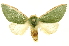  ( - INBIOCRI001134139)  @11 [ ] Copyright (2012) Juan Mata Lorenzen INBio