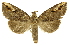 ( - INBIOCRI001154548)  @14 [ ] Copyright (2012) J. Montero INBio