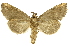  ( - INBIOCRI001154548)  @13 [ ] Copyright (2012) J. Montero INBio