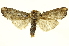  ( - INBIOCRI001166003)  @11 [ ] Copyright (2012) Juan Mata Lorenzen INBio