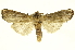  ( - INBIOCRI001166003)  @11 [ ] Copyright (2012) Juan Mata Lorenzen INBio