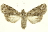  ( - INBIOCRI001184551)  @14 [ ] Copyright (2012) J. Montero INBio
