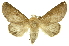  ( - INBIOCRI001207107)  @11 [ ] Copyright (2012) Juan Mata Lorenzen INBio