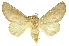  ( - INBIOCRI001207107)  @11 [ ] Copyright (2012) Juan Mata Lorenzen INBio