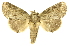  ( - INBIOCRI001209971)  @14 [ ] Copyright (2012) J. Montero INBio