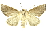  ( - INBIOCRI001211490)  @15 [ ] Copyright (2012) Juan Mata Lorenzen INBio