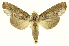  ( - INBIOCRI001300099)  @11 [ ] Copyright (2012) J. Montero INBio