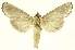  ( - INBIOCRI001300099)  @11 [ ] Copyright (2012) J. Montero INBio