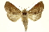  ( - INBIOCRI001315731)  @11 [ ] Copyright (2012) Juan Mata Lorenzen INBio
