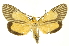  ( - INBIOCRI001328779)  @11 [ ] Copyright (2012) Juan Mata Lorenzen INBio