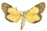  ( - INBIOCRI001328779)  @11 [ ] Copyright (2012) Juan Mata Lorenzen INBio