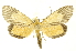  ( - INBIOCRI001328780)  @11 [ ] Copyright (2012) Juan Mata Lorenzen INBio