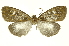  ( - INBIOCRI001332367)  @13 [ ] Copyright (2012) Juan Mata Lorenzen Unspecified