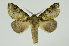  ( - INBIOCRI001341734)  @11 [ ] Copyright (2012) Juan Mata Lorenzen Unspecified