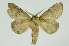  ( - INBIOCRI001341734)  @11 [ ] Copyright (2012) Juan Mata Lorenzen Unspecified