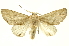  ( - INBIOCRI001368168)  @13 [ ] Copyright (2012) Juan Mata Lorenzen INBio