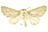  ( - INBIOCRI001368168)  @13 [ ] Copyright (2012) Juan Mata Lorenzen INBio