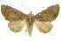  ( - INBIOCRI001369310)  @14 [ ] Copyright (2012) Juan Mata Lorenzen INBio