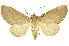  ( - INBIOCRI001369310)  @14 [ ] Copyright (2012) Juan Mata Lorenzen INBio