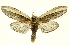  ( - INBIOCRI001369563)  @14 [ ] Copyright (2012) Juan Mata Lorenzen INBio