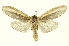  ( - INBIOCRI001369563)  @13 [ ] Copyright (2012) Juan Mata Lorenzen INBio
