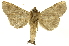  ( - INBIOCRI001372559)  @13 [ ] Copyright (2012) J. Montero INBio