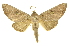  ( - INBIOCRI001374904)  @15 [ ] Copyright (2012) J. Montero INBio