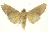  ( - INBIOCRI001374904)  @13 [ ] Copyright (2012) J. Montero INBio