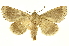  ( - INBIOCRI001375489)  @14 [ ] Copyright (2012) J. Montero INBio