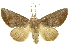  ( - INBIOCRI001375677)  @14 [ ] Copyright (2012) Juan Mata Lorenzen INBio