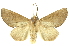  ( - INBIOCRI001375677)  @14 [ ] Copyright (2012) Juan Mata Lorenzen INBio