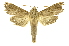  ( - INBIOCRI001376150)  @13 [ ] Copyright (2012) Juan Mata Lorenzen INBio